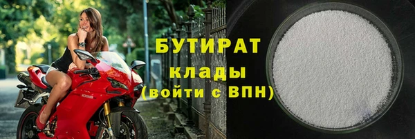 прущие грибы Вязники